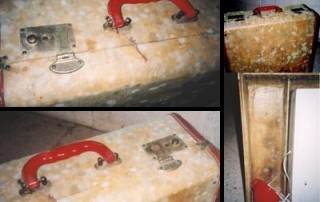 Suitcase Stored in Crawl Space with Mold