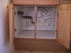 Source of Mold Pipe in Cabinet